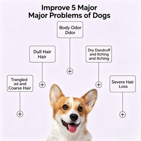 Pet Hair Conditioner