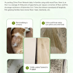 Pet Floor Cleaner