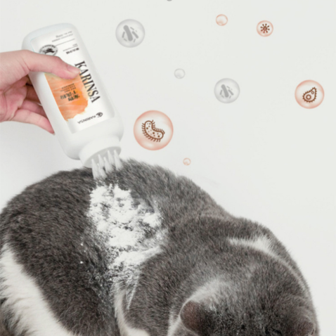 Pet Dry Cleaning Power