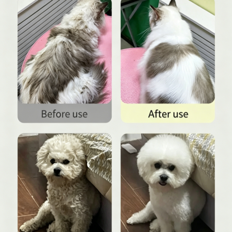 Pet Dry Cleaning Power