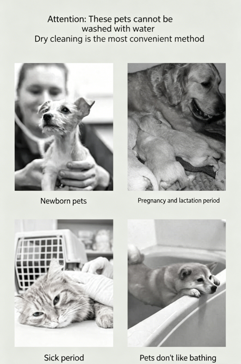 Pet Dry Cleaning Powder