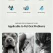 Pet Oral Rinse