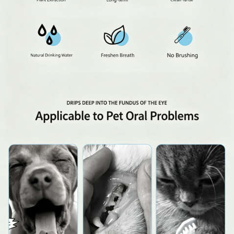 Pet Oral Rinse