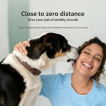 Pet Oral Rinse