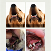 Pet Oral Rinse