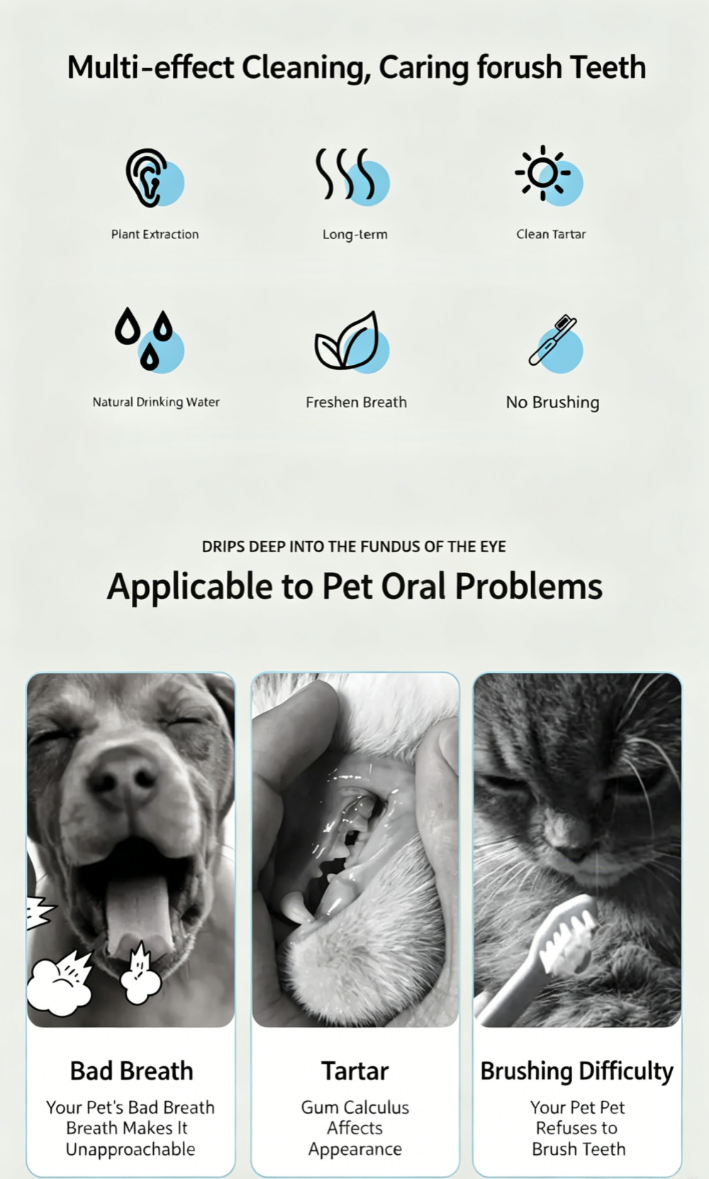 Dog Mouthwash Solution