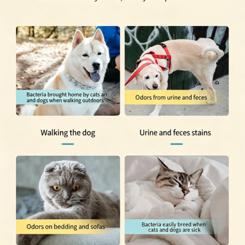 Pet Deodorant Spray