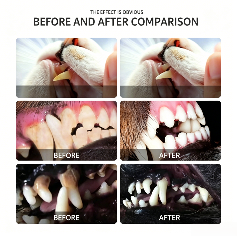 Dog Plaque Removal Gel