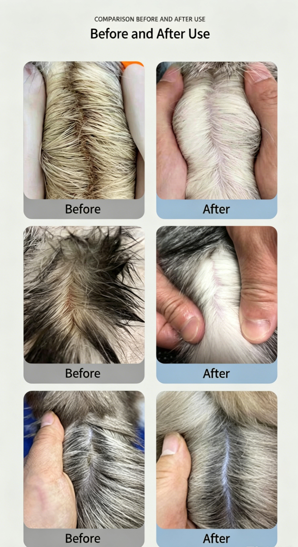 Cat Oil Tail Cleaning Bubble