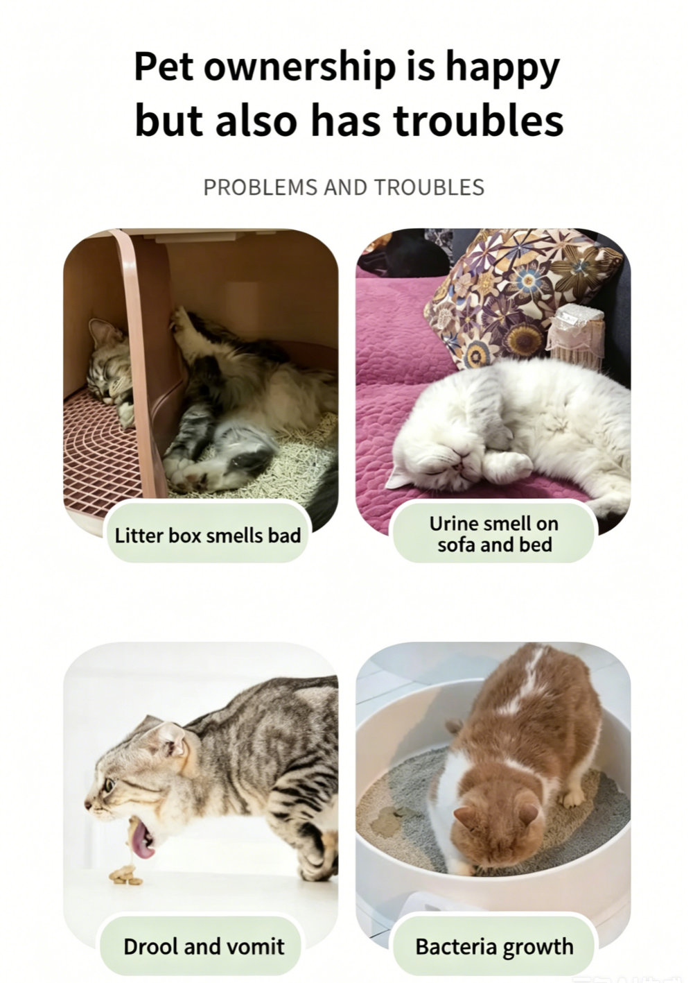 Pet Litter Deodorant Spray