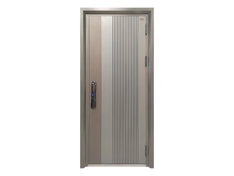 Stainless Steel Smart Security Front Entry Door
