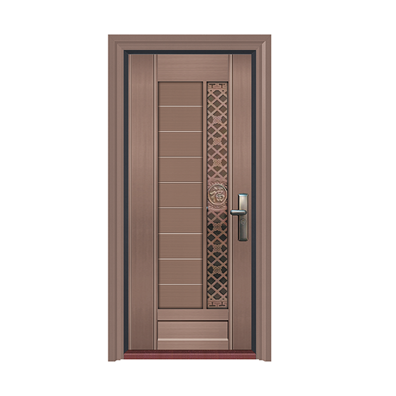 steel security front door