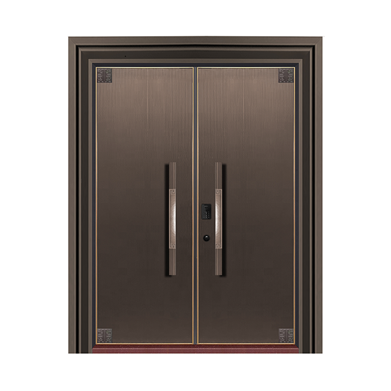security entrance door