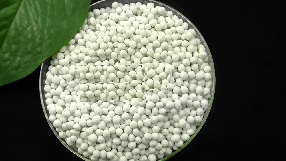 Comprar Fertilizante orgánico granular de rodillo de alta calidad soluble en agua compuesto NPK de venta directa de fábrica, Fertilizante orgánico granular de rodillo de alta calidad soluble en agua compuesto NPK de venta directa de fábrica Precios, Fertilizante orgánico granular de rodillo de alta calidad soluble en agua compuesto NPK de venta directa de fábrica Marcas, Fertilizante orgánico granular de rodillo de alta calidad soluble en agua compuesto NPK de venta directa de fábrica Fabricante, Fertilizante orgánico granular de rodillo de alta calidad soluble en agua compuesto NPK de venta directa de fábrica Citas, Fertilizante orgánico granular de rodillo de alta calidad soluble en agua compuesto NPK de venta directa de fábrica Empresa.