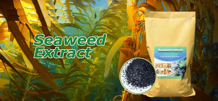 Humic acid liquid Humic acid liquid