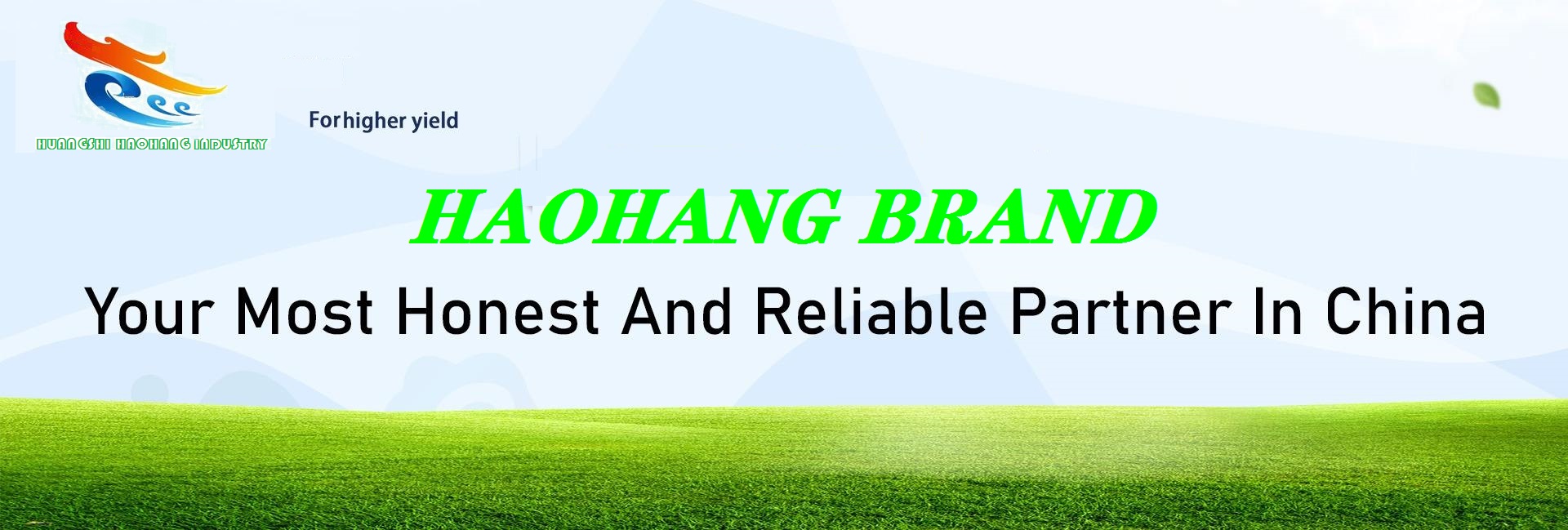 Seaweed Extract Powder Seaweed Extract Powder