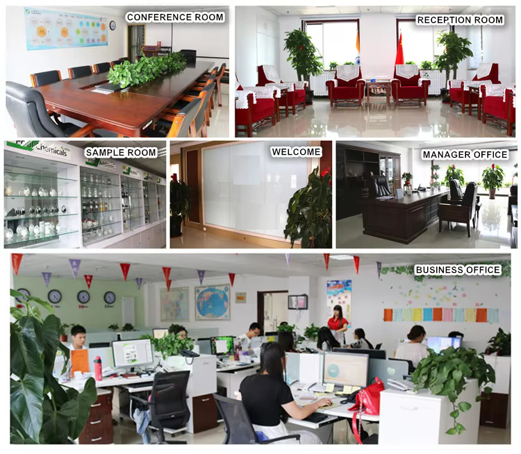 green 100% Seaweed Extract extract Powder