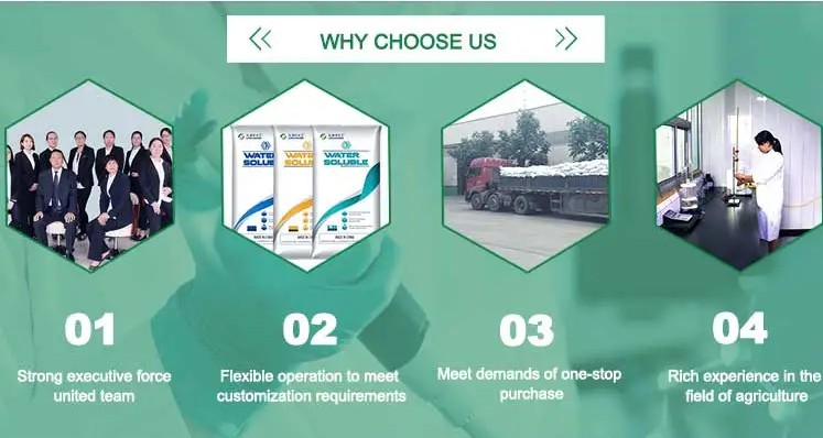 Slow Release Fertilizer for Agriculture