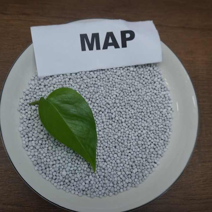 Comprar Fertilizante MAP de bajo precio, fosfato monoamónico de calidad agrícola eficiente para la productividad de los cultivos, Fertilizante MAP de bajo precio, fosfato monoamónico de calidad agrícola eficiente para la productividad de los cultivos Precios, Fertilizante MAP de bajo precio, fosfato monoamónico de calidad agrícola eficiente para la productividad de los cultivos Marcas, Fertilizante MAP de bajo precio, fosfato monoamónico de calidad agrícola eficiente para la productividad de los cultivos Fabricante, Fertilizante MAP de bajo precio, fosfato monoamónico de calidad agrícola eficiente para la productividad de los cultivos Citas, Fertilizante MAP de bajo precio, fosfato monoamónico de calidad agrícola eficiente para la productividad de los cultivos Empresa.