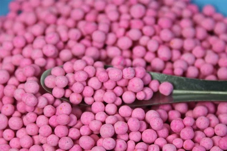 Comprar Fertilizante orgánico compuesto agrícola NPK granulado al mejor precio de China, Fertilizante orgánico compuesto agrícola NPK granulado al mejor precio de China Precios, Fertilizante orgánico compuesto agrícola NPK granulado al mejor precio de China Marcas, Fertilizante orgánico compuesto agrícola NPK granulado al mejor precio de China Fabricante, Fertilizante orgánico compuesto agrícola NPK granulado al mejor precio de China Citas, Fertilizante orgánico compuesto agrícola NPK granulado al mejor precio de China Empresa.
