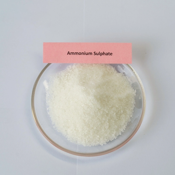 Comprar Producto de venta caliente Sulfato de amonio Cristal Sulfato de amonio Fertilizante de sulfato de amonio N21 S 24, Producto de venta caliente Sulfato de amonio Cristal Sulfato de amonio Fertilizante de sulfato de amonio N21 S 24 Precios, Producto de venta caliente Sulfato de amonio Cristal Sulfato de amonio Fertilizante de sulfato de amonio N21 S 24 Marcas, Producto de venta caliente Sulfato de amonio Cristal Sulfato de amonio Fertilizante de sulfato de amonio N21 S 24 Fabricante, Producto de venta caliente Sulfato de amonio Cristal Sulfato de amonio Fertilizante de sulfato de amonio N21 S 24 Citas, Producto de venta caliente Sulfato de amonio Cristal Sulfato de amonio Fertilizante de sulfato de amonio N21 S 24 Empresa.