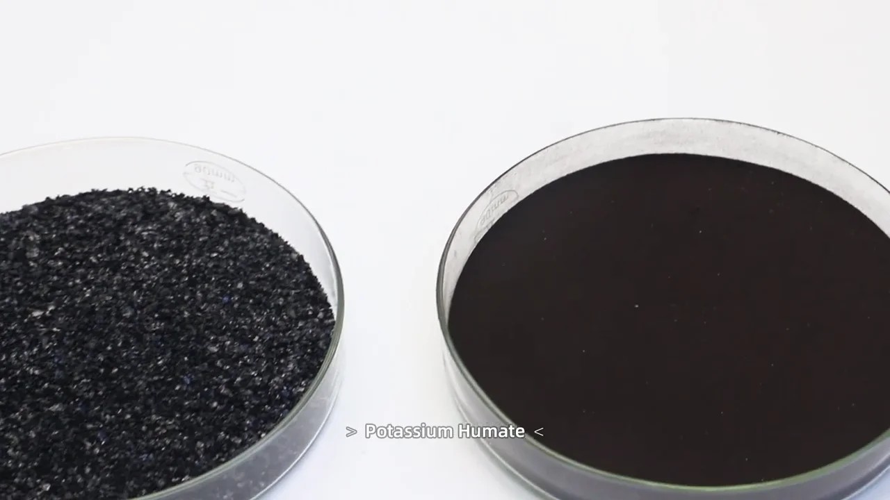 Comprar Fertilizante nitrogenado granulado de sulfato de amonio, Fertilizante nitrogenado granulado de sulfato de amonio Precios, Fertilizante nitrogenado granulado de sulfato de amonio Marcas, Fertilizante nitrogenado granulado de sulfato de amonio Fabricante, Fertilizante nitrogenado granulado de sulfato de amonio Citas, Fertilizante nitrogenado granulado de sulfato de amonio Empresa.