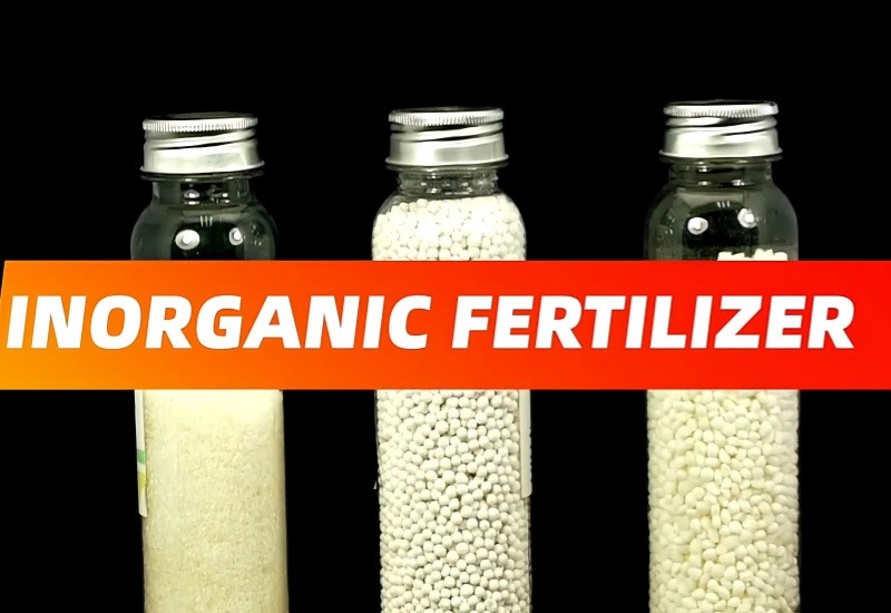 Comprar Fertilizante en polvo soluble en dihidrógeno de fosfato monoamónico MAP de alta calidad, Fertilizante en polvo soluble en dihidrógeno de fosfato monoamónico MAP de alta calidad Precios, Fertilizante en polvo soluble en dihidrógeno de fosfato monoamónico MAP de alta calidad Marcas, Fertilizante en polvo soluble en dihidrógeno de fosfato monoamónico MAP de alta calidad Fabricante, Fertilizante en polvo soluble en dihidrógeno de fosfato monoamónico MAP de alta calidad Citas, Fertilizante en polvo soluble en dihidrógeno de fosfato monoamónico MAP de alta calidad Empresa.