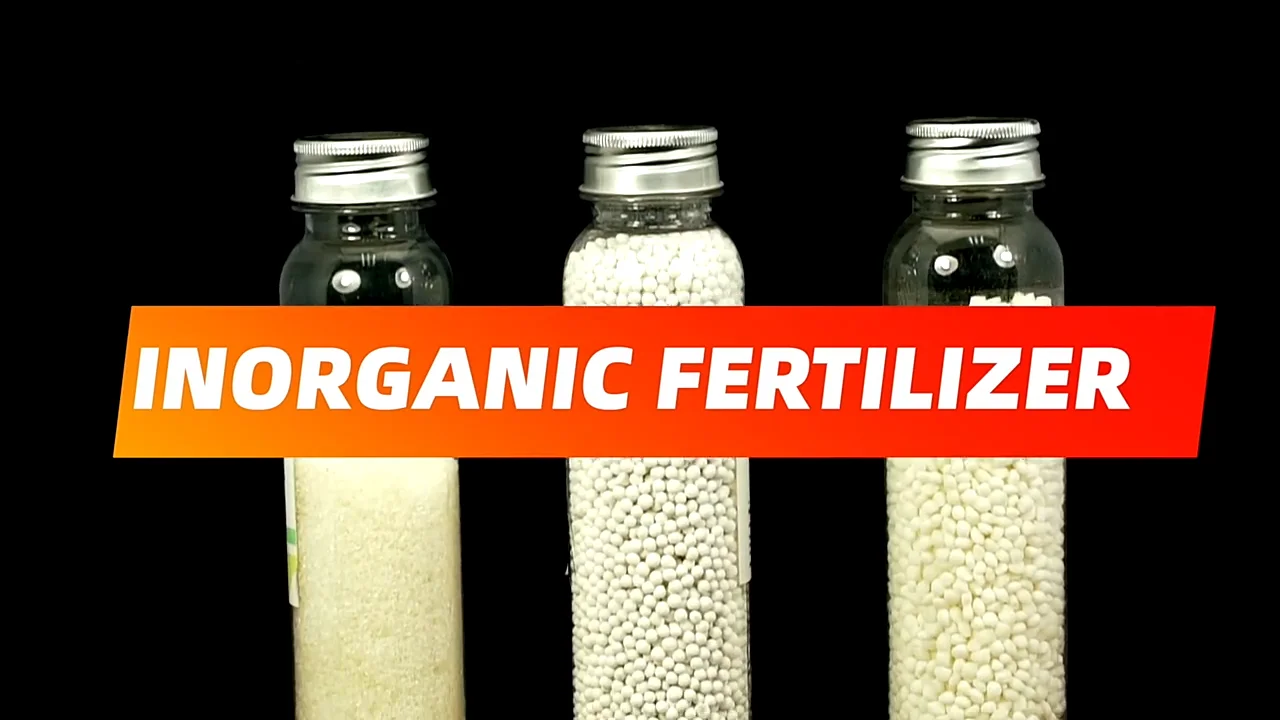 Sulfato de zinc en polvo heptahidratado de alta pureza, fertilizante eficaz