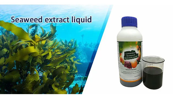 Comprar Polvo fertilizante de extracto de algas HAOHANG de alta calidad para agricultura, Polvo fertilizante de extracto de algas HAOHANG de alta calidad para agricultura Precios, Polvo fertilizante de extracto de algas HAOHANG de alta calidad para agricultura Marcas, Polvo fertilizante de extracto de algas HAOHANG de alta calidad para agricultura Fabricante, Polvo fertilizante de extracto de algas HAOHANG de alta calidad para agricultura Citas, Polvo fertilizante de extracto de algas HAOHANG de alta calidad para agricultura Empresa.