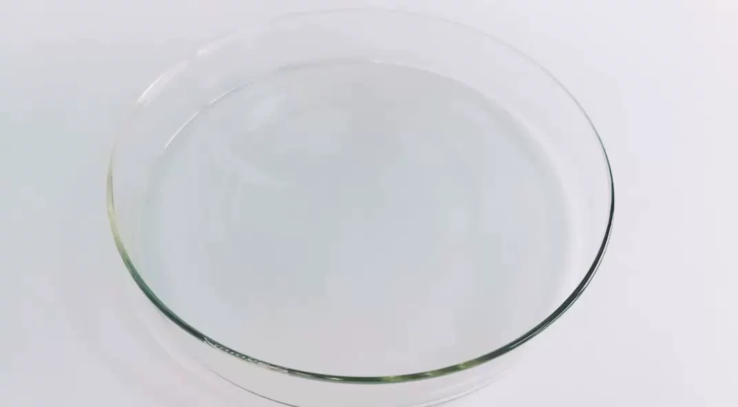 Precio de fábrica de ácido húmico Cas