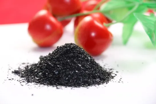 Comprar Venta de fábrica de humato de potasio soluble en agua en escamas, humato Plus, fertilizante orgánico, algas marinas, aminoácidos en polvo, granulado vegetal., Venta de fábrica de humato de potasio soluble en agua en escamas, humato Plus, fertilizante orgánico, algas marinas, aminoácidos en polvo, granulado vegetal. Precios, Venta de fábrica de humato de potasio soluble en agua en escamas, humato Plus, fertilizante orgánico, algas marinas, aminoácidos en polvo, granulado vegetal. Marcas, Venta de fábrica de humato de potasio soluble en agua en escamas, humato Plus, fertilizante orgánico, algas marinas, aminoácidos en polvo, granulado vegetal. Fabricante, Venta de fábrica de humato de potasio soluble en agua en escamas, humato Plus, fertilizante orgánico, algas marinas, aminoácidos en polvo, granulado vegetal. Citas, Venta de fábrica de humato de potasio soluble en agua en escamas, humato Plus, fertilizante orgánico, algas marinas, aminoácidos en polvo, granulado vegetal. Empresa.