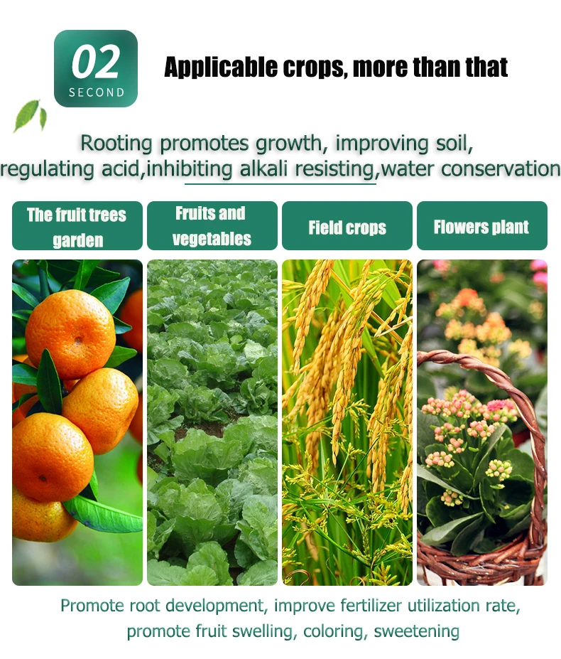 Comprar Polvo fertilizante concentrado soluble en agua orgánico de extracto de alga marina Ascophyllum nodosum en escamas, Polvo fertilizante concentrado soluble en agua orgánico de extracto de alga marina Ascophyllum nodosum en escamas Precios, Polvo fertilizante concentrado soluble en agua orgánico de extracto de alga marina Ascophyllum nodosum en escamas Marcas, Polvo fertilizante concentrado soluble en agua orgánico de extracto de alga marina Ascophyllum nodosum en escamas Fabricante, Polvo fertilizante concentrado soluble en agua orgánico de extracto de alga marina Ascophyllum nodosum en escamas Citas, Polvo fertilizante concentrado soluble en agua orgánico de extracto de alga marina Ascophyllum nodosum en escamas Empresa.