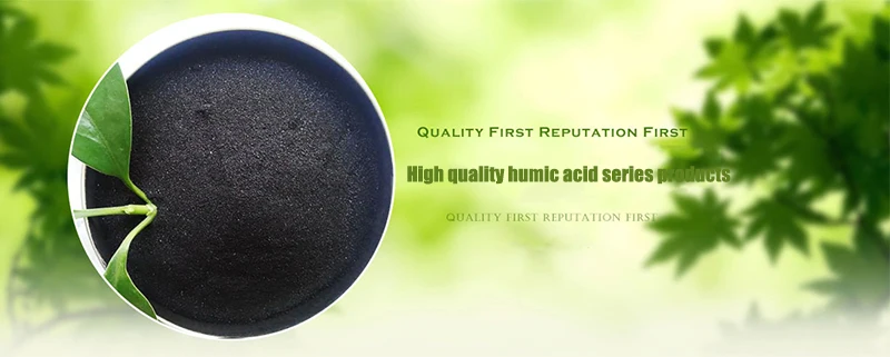Comprar Humato de potasio en polvo de copos brillantes de humato de potasio de alta calidad, Humato de potasio en polvo de copos brillantes de humato de potasio de alta calidad Precios, Humato de potasio en polvo de copos brillantes de humato de potasio de alta calidad Marcas, Humato de potasio en polvo de copos brillantes de humato de potasio de alta calidad Fabricante, Humato de potasio en polvo de copos brillantes de humato de potasio de alta calidad Citas, Humato de potasio en polvo de copos brillantes de humato de potasio de alta calidad Empresa.