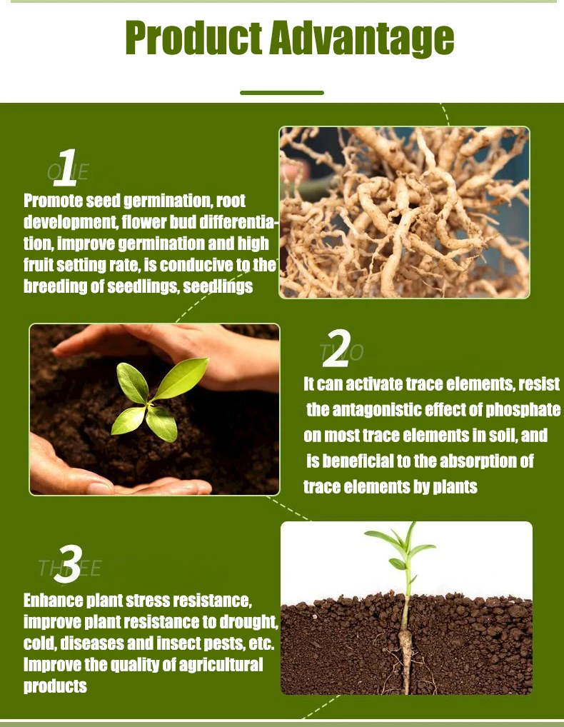 Comprar Fertilizante de extracto de algas orgánicas de alta pureza para árboles frutales, Fertilizante de extracto de algas orgánicas de alta pureza para árboles frutales Precios, Fertilizante de extracto de algas orgánicas de alta pureza para árboles frutales Marcas, Fertilizante de extracto de algas orgánicas de alta pureza para árboles frutales Fabricante, Fertilizante de extracto de algas orgánicas de alta pureza para árboles frutales Citas, Fertilizante de extracto de algas orgánicas de alta pureza para árboles frutales Empresa.