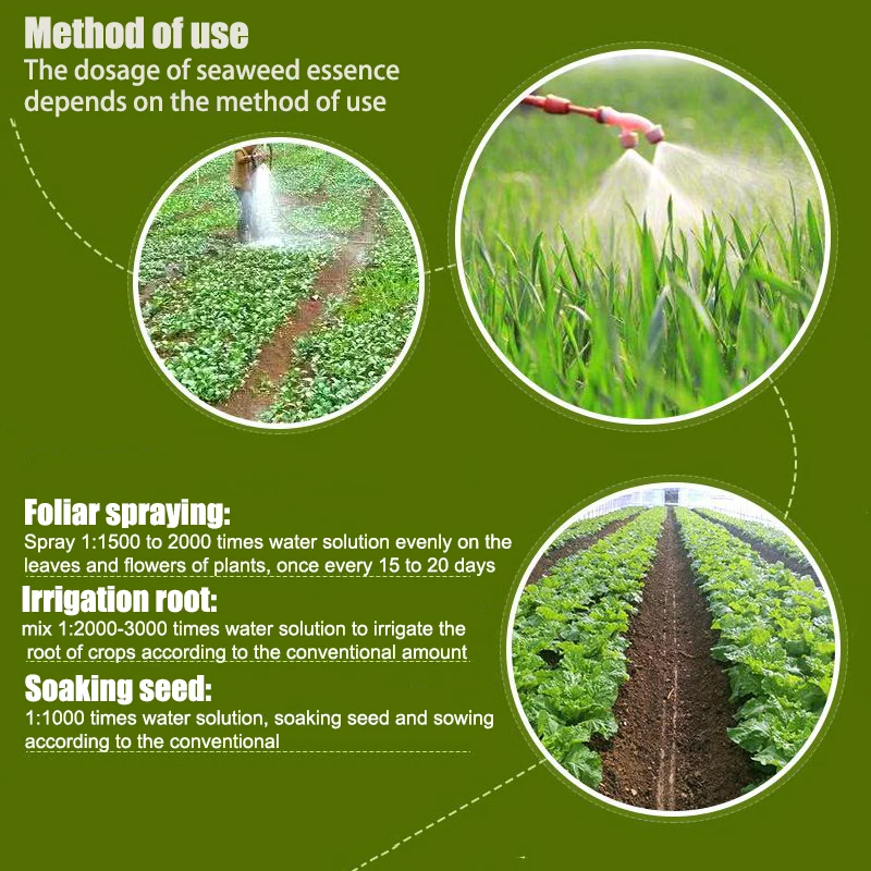 Comprar Fertilizante de extracto de algas orgánicas de alta pureza para árboles frutales, Fertilizante de extracto de algas orgánicas de alta pureza para árboles frutales Precios, Fertilizante de extracto de algas orgánicas de alta pureza para árboles frutales Marcas, Fertilizante de extracto de algas orgánicas de alta pureza para árboles frutales Fabricante, Fertilizante de extracto de algas orgánicas de alta pureza para árboles frutales Citas, Fertilizante de extracto de algas orgánicas de alta pureza para árboles frutales Empresa.