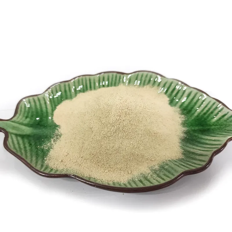 Comprar Fertilizante orgánico Polvo de aminoácidos de origen vegetal con total solubilidad en agua., Fertilizante orgánico Polvo de aminoácidos de origen vegetal con total solubilidad en agua. Precios, Fertilizante orgánico Polvo de aminoácidos de origen vegetal con total solubilidad en agua. Marcas, Fertilizante orgánico Polvo de aminoácidos de origen vegetal con total solubilidad en agua. Fabricante, Fertilizante orgánico Polvo de aminoácidos de origen vegetal con total solubilidad en agua. Citas, Fertilizante orgánico Polvo de aminoácidos de origen vegetal con total solubilidad en agua. Empresa.