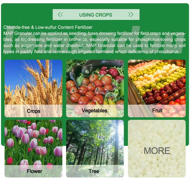 Comprar Fertilizante de fosfato monoamónico MAP a bajo precio, Fertilizante de fosfato monoamónico MAP a bajo precio Precios, Fertilizante de fosfato monoamónico MAP a bajo precio Marcas, Fertilizante de fosfato monoamónico MAP a bajo precio Fabricante, Fertilizante de fosfato monoamónico MAP a bajo precio Citas, Fertilizante de fosfato monoamónico MAP a bajo precio Empresa.