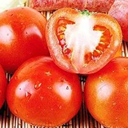 Water Soluble Fertilizer npk