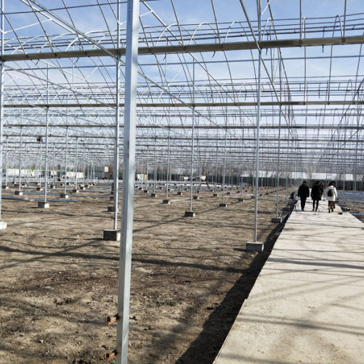 Özbekistan'da Tarım Serası İçin 10 Hektar Çok Açıklıklı Film Serası
