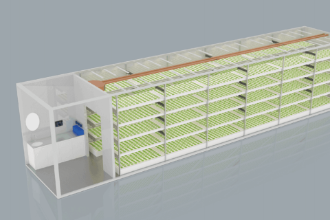 مصنع النباتات / حاوية النباتات