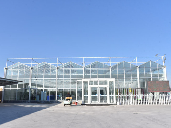 Otomatik Sistemli Şeffaf Cam Sera