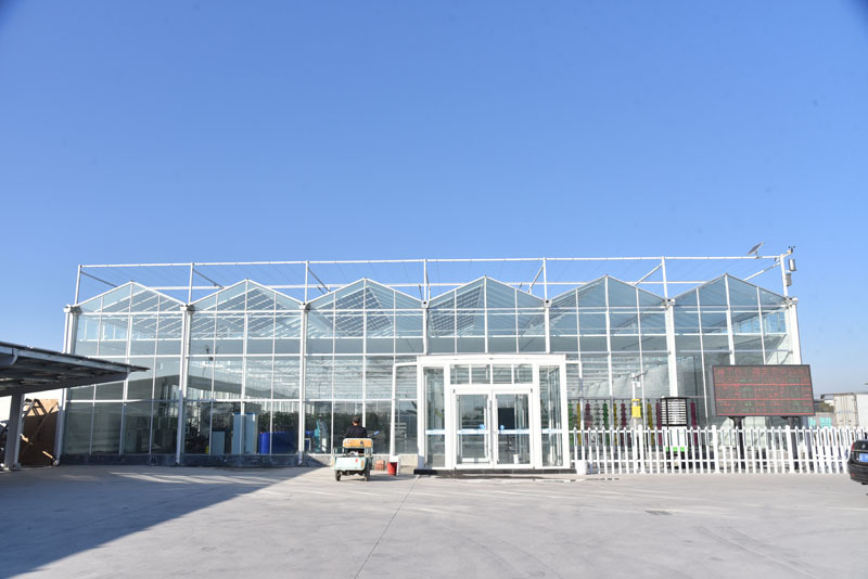 Прозрачная стеклянная теплица с автоматизированной системой