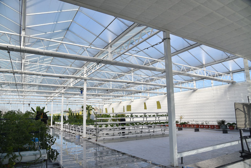 Прозрачная стеклянная теплица с автоматизированной системой