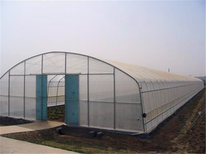 Single Span Film Tunnel Greenhouse For Vegetables