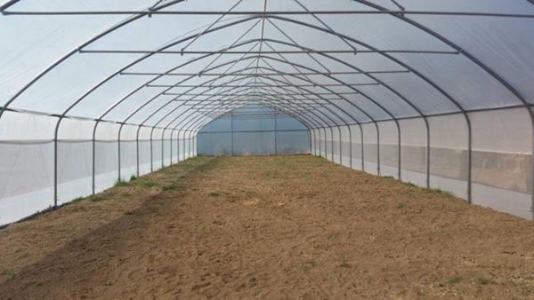 Single Span Film Tunnel Greenhouse For Vegetables