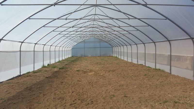 دفيئة نفقية بلاستيكية بسمك 100/150/200 ميكرون