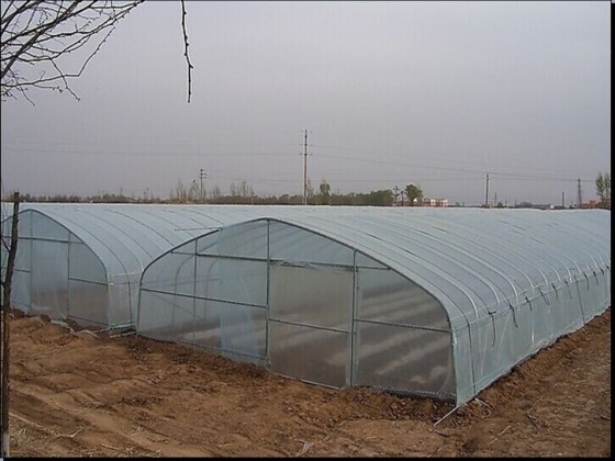 دفيئة زراعية بلاستيكية