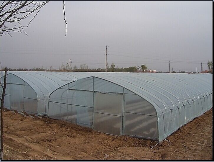 دفيئة زراعية بلاستيكية