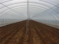 دفيئة زراعية بلاستيكية