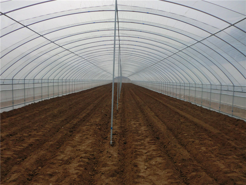 دفيئة زراعية بلاستيكية